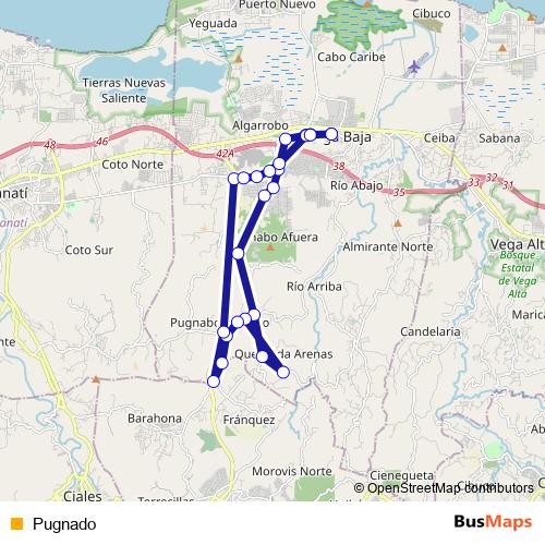 Pugnado bus Line Map