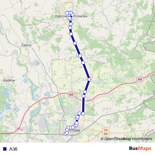 A36 bus Line Map