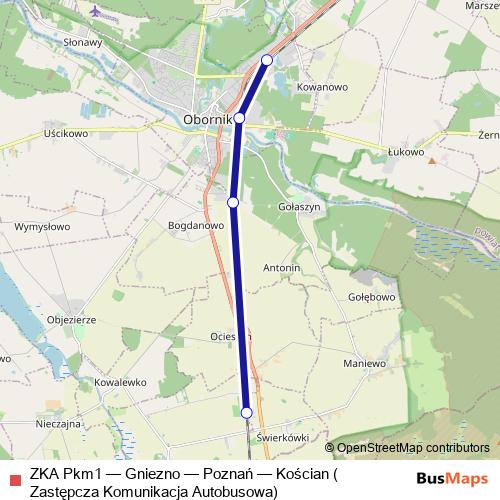 ZKA Pkm1 bus Line Map