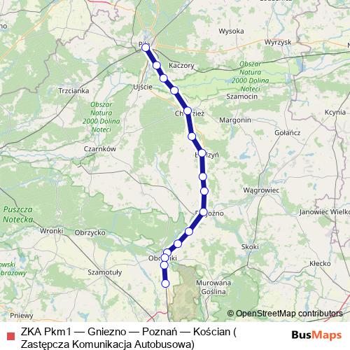 ZKA Pkm1 bus Line Map