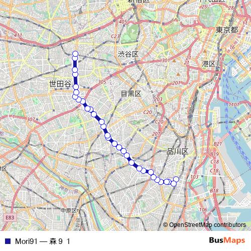 Mori91 bus Line Map