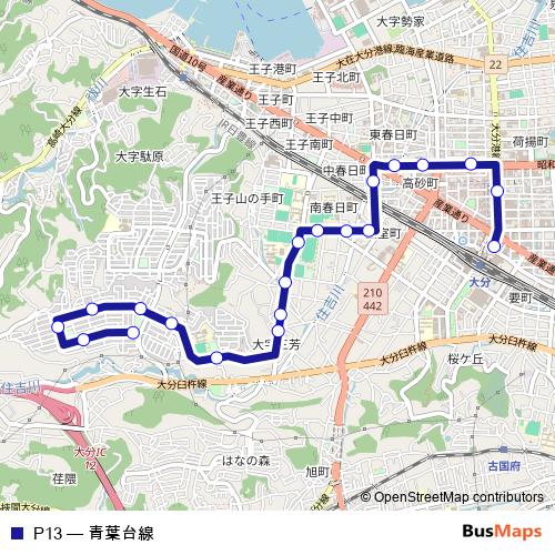 P13 bus Line Map