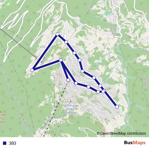393 bus Line Map