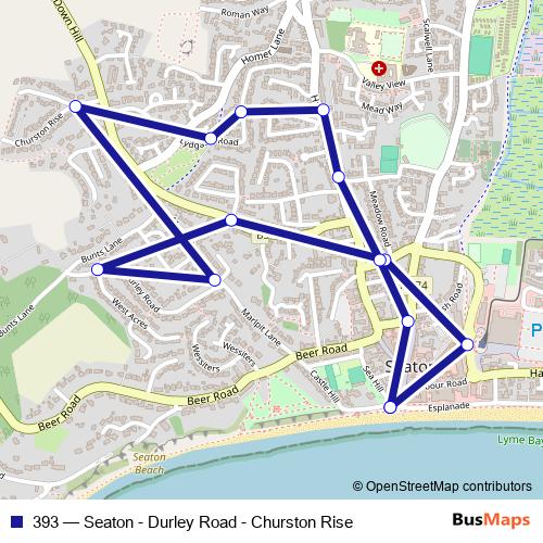 393 bus Line Map