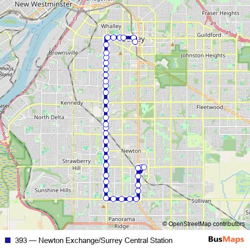 393 bus Line Map