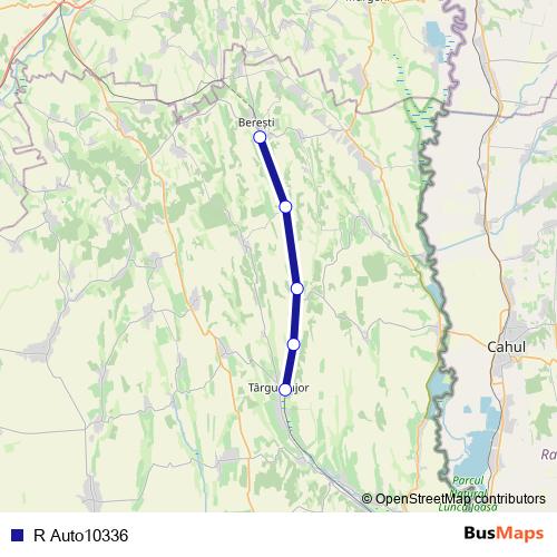 R Auto10336 bus Line Map