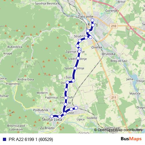PR A22 6199 1 (60529) bus Line Map