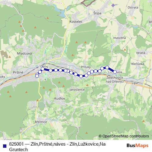 825001 trolleybus Line Map