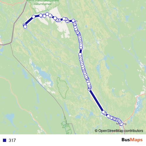 317 bus Line Map