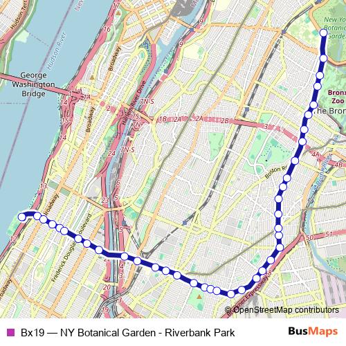 Bx19 bus Line Map