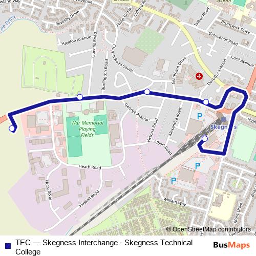 TEC bus Line Map