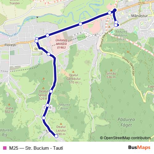 M25 bus Line Map