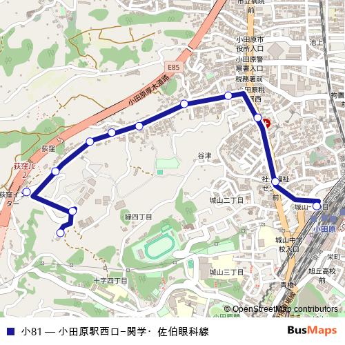 小81 bus Line Map