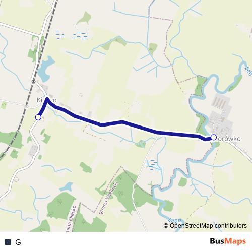 G bus Line Map