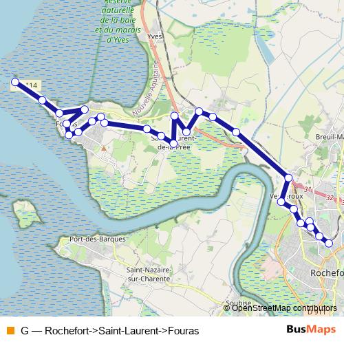 G bus Line Map