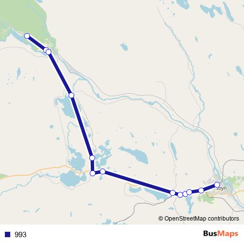 993 bus Line Map