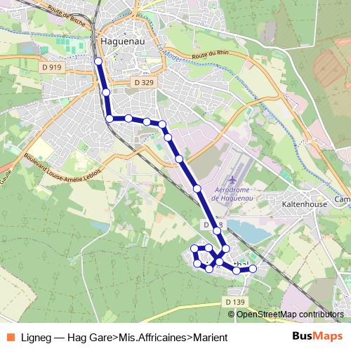 Ligneg bus Line Map