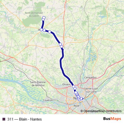311 bus Line Map