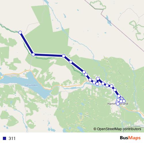 311 bus Line Map