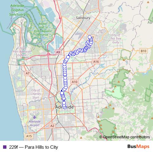 229f bus Line Map