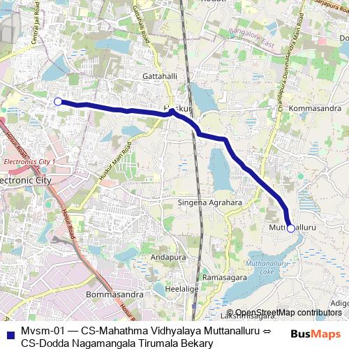 Mvsm-01 bus Line Map
