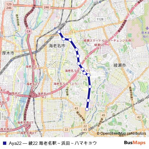 Aya22 bus Line Map