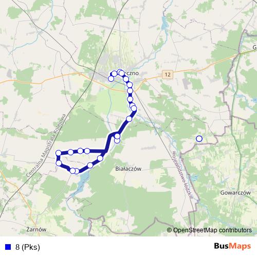 8 (Pks) bus Line Map