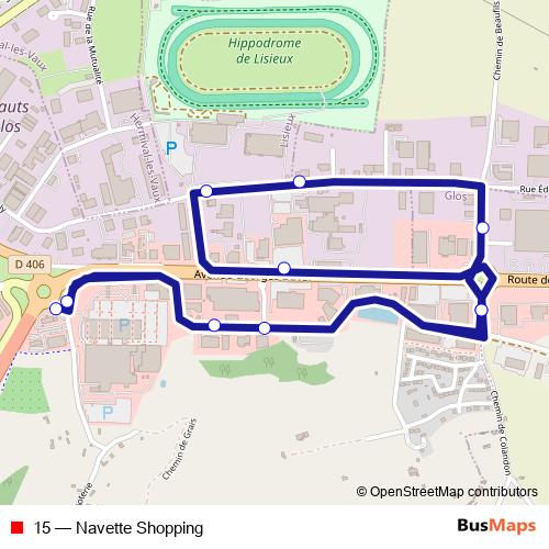 15 bus Line Map