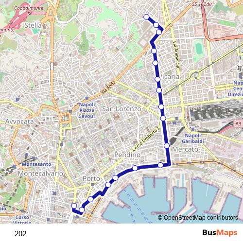 202 trolleybus Line Map