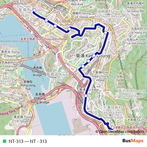 NT-313 bus Line Map