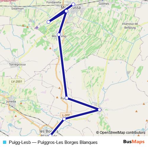 Puigg-Lesb bus Line Map