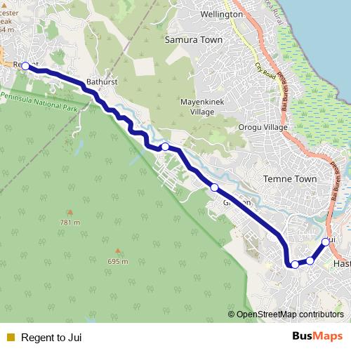 Regent to Jui bus Line Map